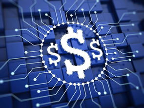 楊望 以數(shù)字貨幣破題普惠金融，數(shù)字技術(shù)服務(wù)實(shí)體經(jīng)濟(jì)新路徑