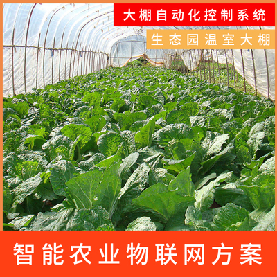 科技賦能，綠色未來 智能大棚與生態(tài)農(nóng)業(yè)的融合開發(fā)之路